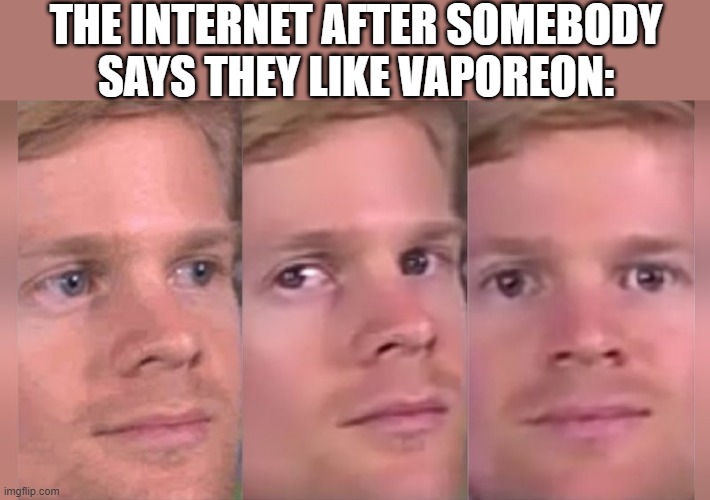 Fourth wall breaking white guy | THE INTERNET AFTER SOMEBODY SAYS THEY LIKE VAPOREON: | image tagged in fourth wall breaking white guy | made w/ Imgflip meme maker