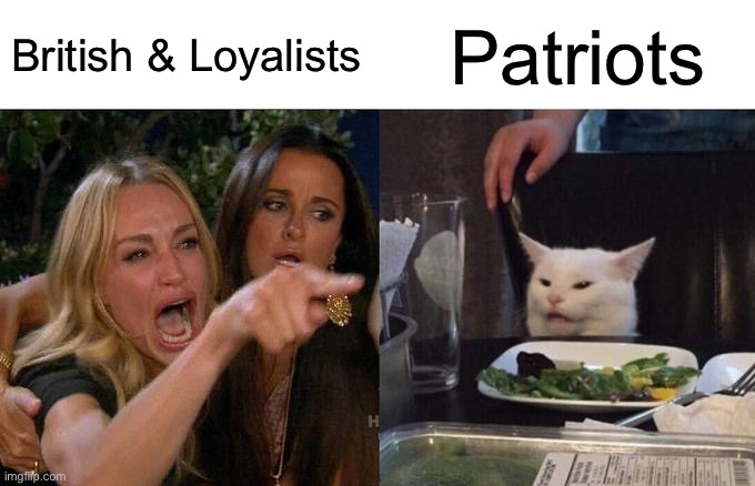 History assignment ✨Part 2✨ | British & Loyalists; Patriots | image tagged in memes,woman yelling at cat | made w/ Imgflip meme maker