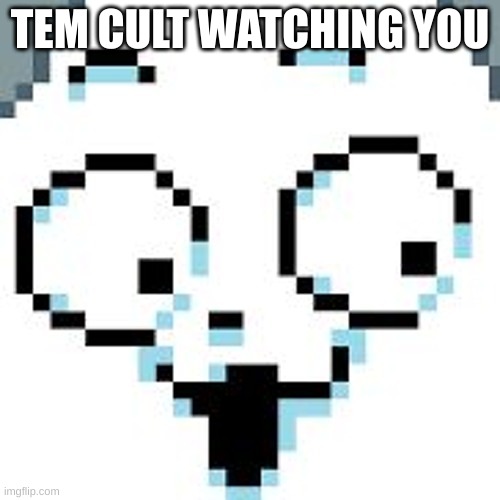 We are watching. Always watching. | TEM CULT WATCHING YOU | image tagged in temmie,tem cult | made w/ Imgflip meme maker