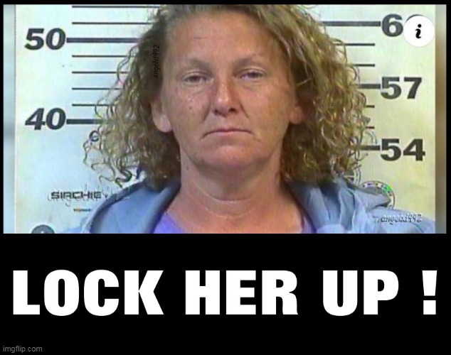 image tagged in donalda trump,lock her up,clown car republicans,prison,evil republicans,donald trumph hair | made w/ Imgflip meme maker