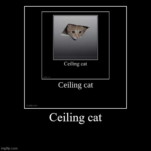 Ceiling cat (continiue it) | image tagged in funny,demotivationals,ceiling cat,droste effect | made w/ Imgflip demotivational maker