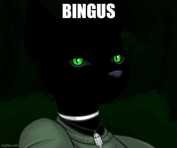 My new panther fursona | BINGUS | image tagged in my new panther fursona | made w/ Imgflip meme maker