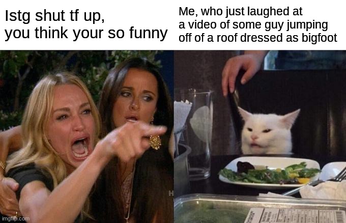 Woman Yelling At Cat | Istg shut tf up, you think your so funny; Me, who just laughed at a video of some guy jumping off of a roof dressed as bigfoot | image tagged in memes,woman yelling at cat | made w/ Imgflip meme maker