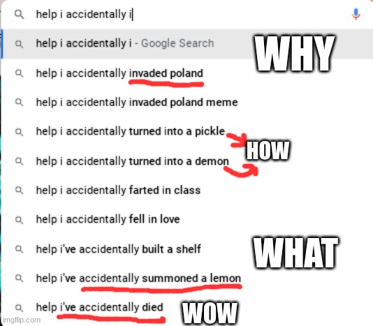 help i accidently- |  WHY; HOW; WHAT; WOW | image tagged in google search meme,why,oh god why,oh god i have done it again | made w/ Imgflip meme maker