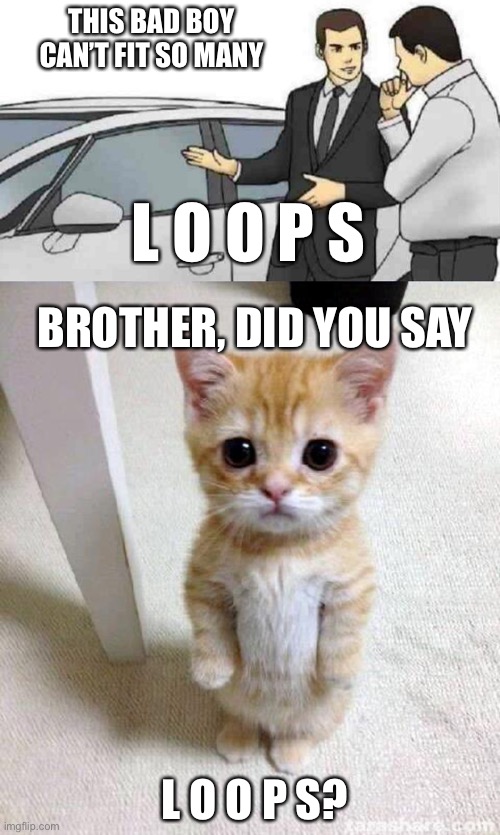 Old meme I was thinking about for the past week | THIS BAD BOY CAN’T FIT SO MANY; L O O P S; BROTHER, DID YOU SAY; L O O P S? | image tagged in memes,car salesman slaps roof of car,cute cat | made w/ Imgflip meme maker