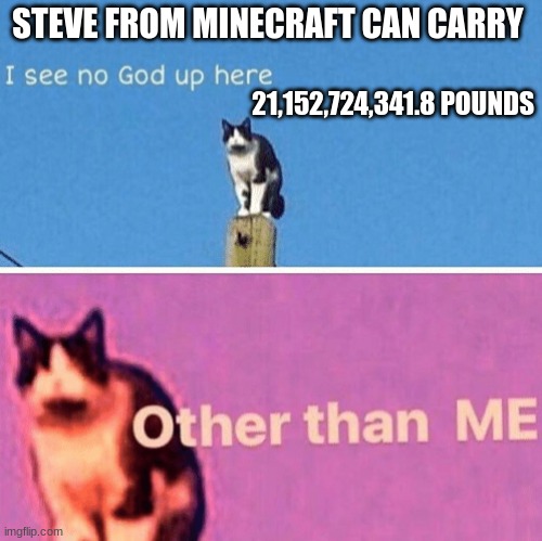 Steve is a chad | STEVE FROM MINECRAFT CAN CARRY; 21,152,724,341.8 POUNDS | image tagged in hail pole cat | made w/ Imgflip meme maker