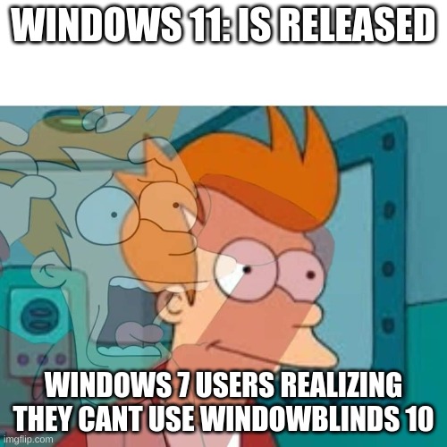 true | WINDOWS 11: IS RELEASED; WINDOWS 7 USERS REALIZING THEY CANT USE WINDOWBLINDS 10 | image tagged in fry,windows 7,windows update | made w/ Imgflip meme maker