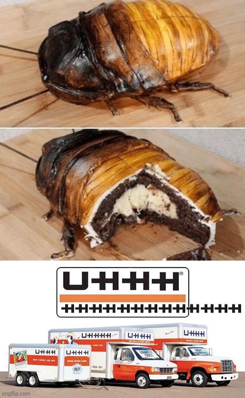 Bug cakes | image tagged in uhhh truck,bug,cakes,bugs,cake,memes | made w/ Imgflip meme maker