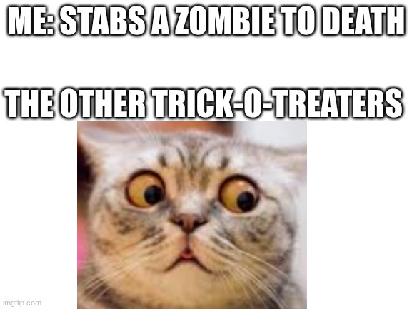 Blank white template | ME: STABS A ZOMBIE TO DEATH; THE OTHER TRICK-O-TREATERS | image tagged in memes | made w/ Imgflip meme maker