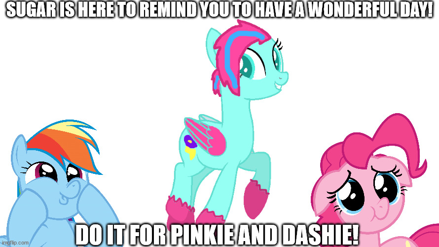 sugar | SUGAR IS HERE TO REMIND YOU TO HAVE A WONDERFUL DAY! DO IT FOR PINKIE AND DASHIE! | image tagged in sugar | made w/ Imgflip meme maker