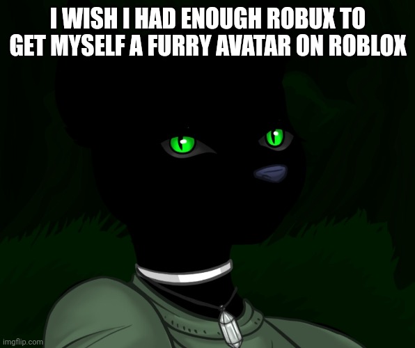 My new panther fursona | I WISH I HAD ENOUGH ROBUX TO GET MYSELF A FURRY AVATAR ON ROBLOX | image tagged in my new panther fursona | made w/ Imgflip meme maker