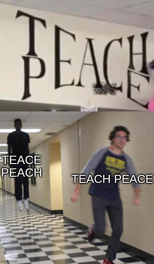 Teace Peach | TEACE PEACH; TEACH PEACE | image tagged in floating boy chasing running boy,lol,funny,lol so funny,you had one job,you had one job just the one | made w/ Imgflip meme maker
