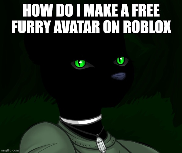 Why am I asking this | HOW DO I MAKE A FREE FURRY AVATAR ON ROBLOX | image tagged in my new panther fursona | made w/ Imgflip meme maker