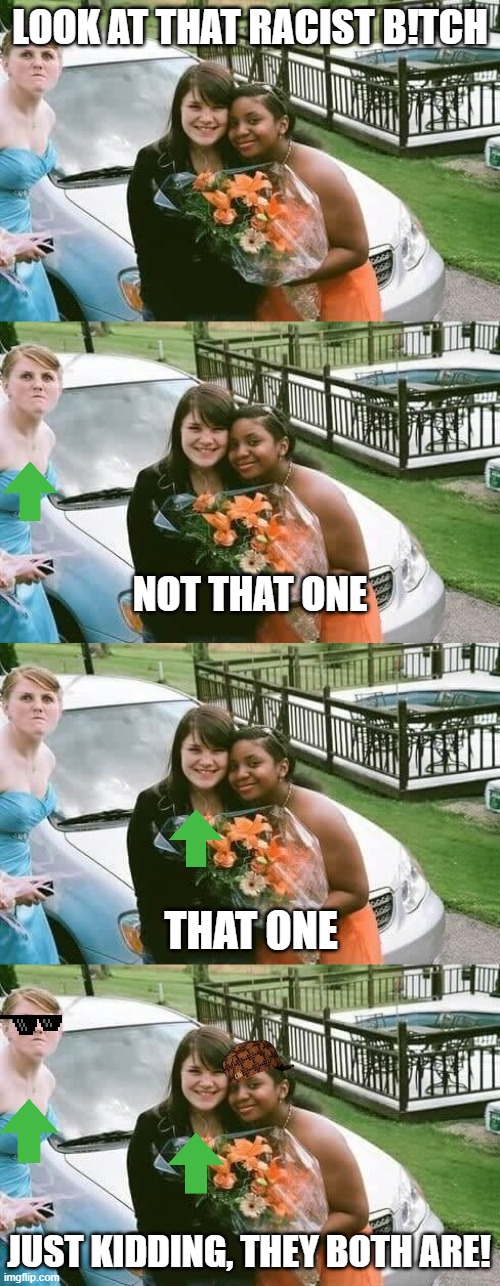 If you believe CRT (Propaganda) | LOOK AT THAT RACIST B!TCH; NOT THAT ONE; THAT ONE; JUST KIDDING, THEY BOTH ARE! | image tagged in racism,politics,bullshit,lies,discrimination | made w/ Imgflip meme maker