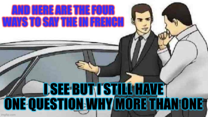 Car Salesman Slaps Roof Of Car Meme | AND HERE ARE THE FOUR WAYS TO SAY THE IN FRENCH; I SEE BUT I STILL HAVE ONE QUESTION WHY MORE THAN ONE | image tagged in memes,car salesman slaps roof of car | made w/ Imgflip meme maker