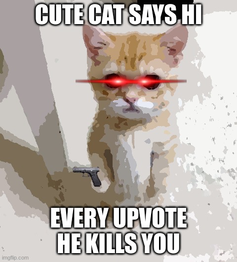 Cute Cat Meme | CUTE CAT SAYS HI; EVERY UPVOTE HE KILLS YOU | image tagged in memes,cute cat | made w/ Imgflip meme maker