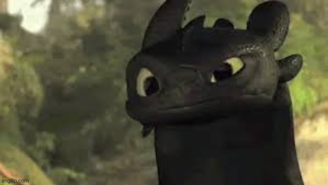 Confused toothless | image tagged in confused toothless | made w/ Imgflip meme maker