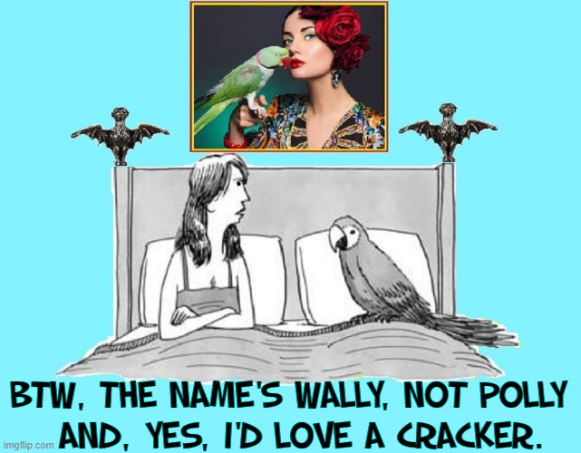 "Polly wants a cracker." | BTW, THE NAME'S WALLY, NOT POLLY
  AND, YES, I'D LOVE A CRACKER. | image tagged in vince vance,parrot,cracker,polly,men vs women,memes | made w/ Imgflip meme maker
