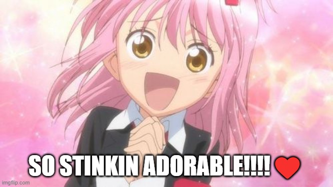 aww anime girl | SO STINKIN ADORABLE!!!!❤️ | image tagged in aww anime girl | made w/ Imgflip meme maker