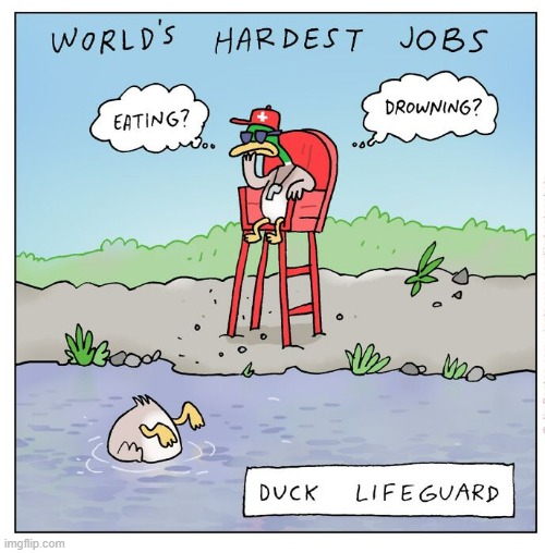 Duck Guard | image tagged in comics | made w/ Imgflip meme maker