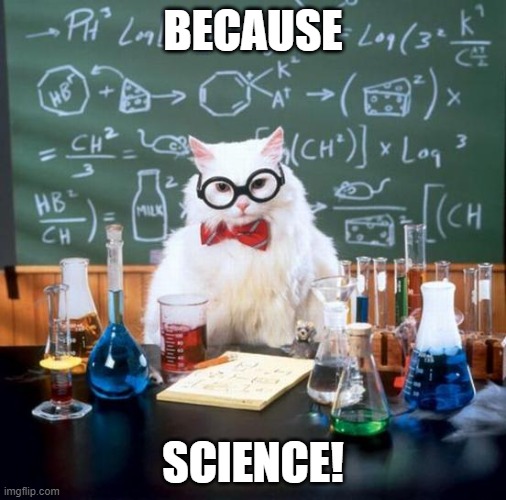 Because Science! | BECAUSE; SCIENCE! | image tagged in memes,chemistry cat,science,cat | made w/ Imgflip meme maker