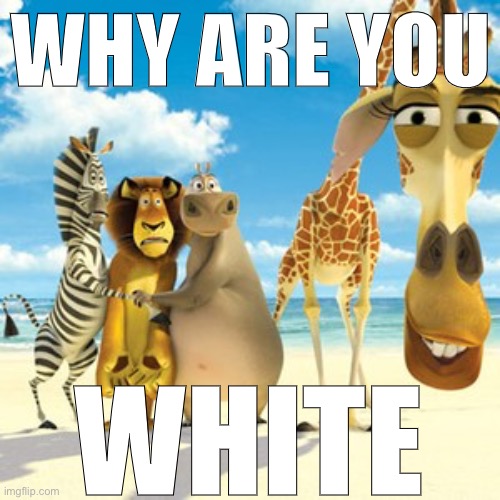 why are you white | WHY ARE YOU WHITE | image tagged in why are you white | made w/ Imgflip meme maker