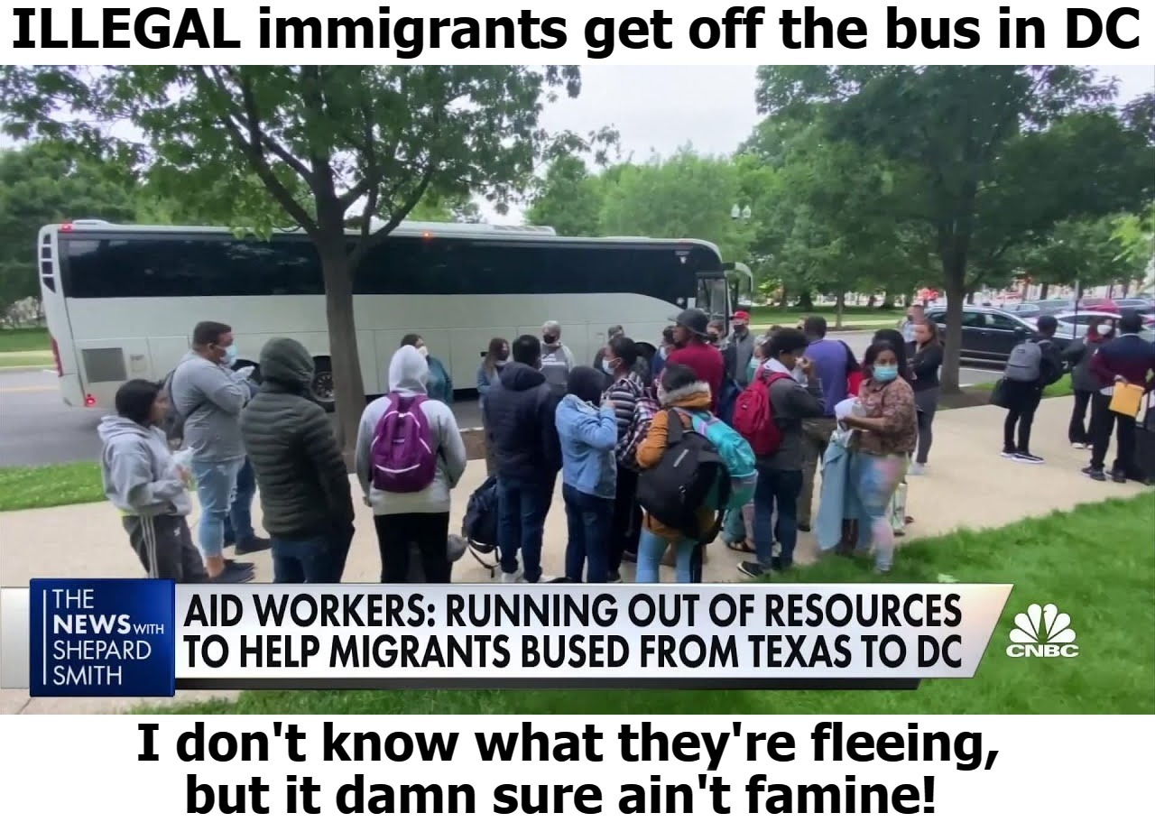 Reality check in DC | image tagged in illegal immigrants,washington dc,reality check,starvation,fat migrants,obese | made w/ Imgflip meme maker