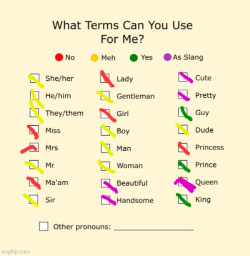 Pronouns Sheet | image tagged in pronouns sheet | made w/ Imgflip meme maker