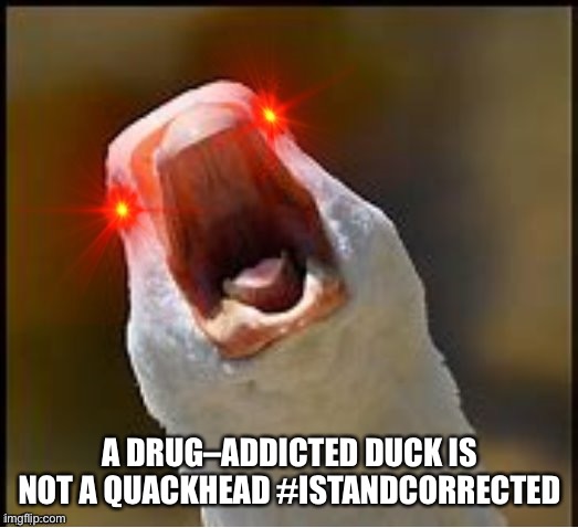 Screaming Duck 3 | A DRUG–ADDICTED DUCK IS NOT A QUACKHEAD #ISTANDCORRECTED | image tagged in screaming duck 3 | made w/ Imgflip meme maker