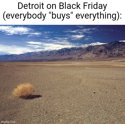 Pie charts | Detroit on Black Friday (everybody "buys" everything): | image tagged in pie charts | made w/ Imgflip meme maker