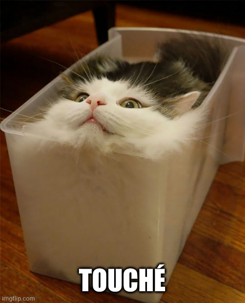 cats are liquid | TOUCHÉ | image tagged in cats are liquid | made w/ Imgflip meme maker