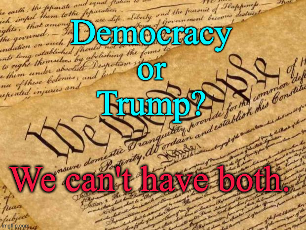 Constitution | Democracy
 or 
Trump? We can't have both. | image tagged in constitution | made w/ Imgflip meme maker