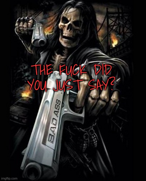 brutal skeleton | THE FUCK DID YOU JUST SAY? | image tagged in brutal skeleton | made w/ Imgflip meme maker
