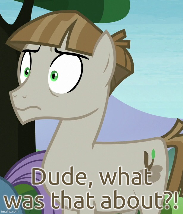Shocked Mudbriar (MLP) | Dude, what was that about?! | image tagged in shocked mudbriar mlp | made w/ Imgflip meme maker