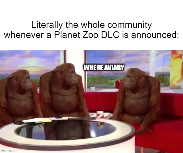 Literally the whole community whenever a Planet Zoo DLC is announced:; WHERE AVIARY | image tagged in blank white template,where monkey,where banana,planet zoo,gaming,aviary | made w/ Imgflip meme maker