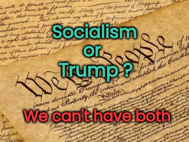 Constitution | Socialism
or We can't have both Trump ? | image tagged in constitution | made w/ Imgflip meme maker