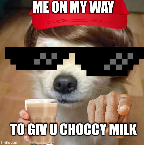 dog wig | ME ON MY WAY; TO GIV U CHOCCY MILK | image tagged in dog wig | made w/ Imgflip meme maker