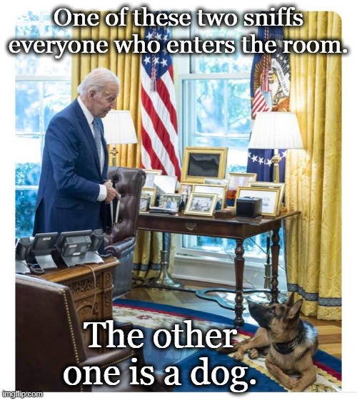 The BEST liberals had to offer.  How y'all liking your Bidenflation? | One of these two sniffs everyone who enters the room. The other one is a dog. | image tagged in creepy joe biden,sick,twisted,liar,old pervert | made w/ Imgflip meme maker
