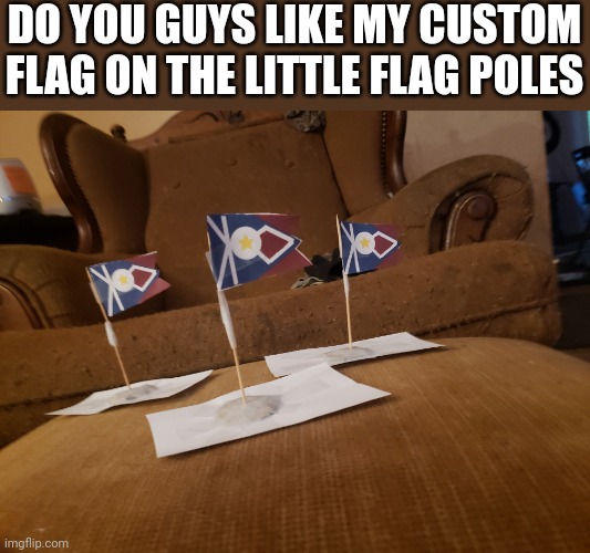 Do you like them? | DO YOU GUYS LIKE MY CUSTOM FLAG ON THE LITTLE FLAG POLES | image tagged in flag | made w/ Imgflip meme maker