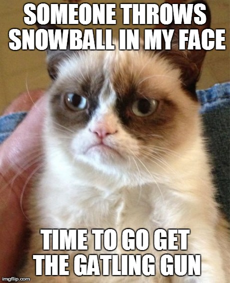 Grumpy Cat Meme | SOMEONE THROWS SNOWBALL IN MY FACE TIME TO GO GET THE GATLING GUN | image tagged in memes,grumpy cat | made w/ Imgflip meme maker