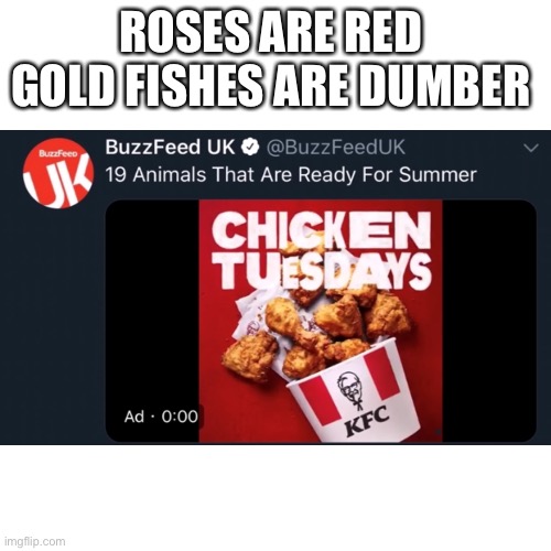 Ha | ROSES ARE RED 
GOLD FISHES ARE DUMBER | image tagged in roses are red | made w/ Imgflip meme maker