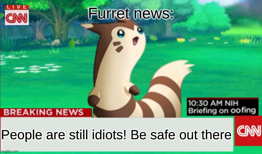 Breaking News Furret | Furret news:; People are still idiots! Be safe out there | image tagged in breaking news furret | made w/ Imgflip meme maker