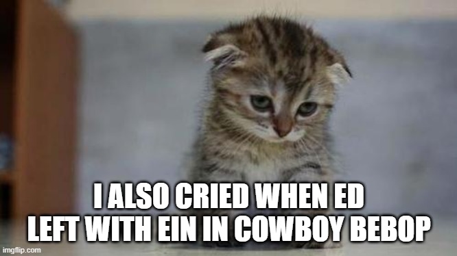 Sad kitten | I ALSO CRIED WHEN ED LEFT WITH EIN IN COWBOY BEBOP | image tagged in sad kitten | made w/ Imgflip meme maker