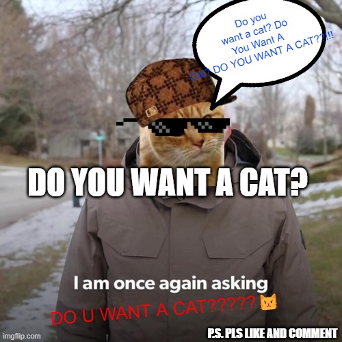 DO YOU WANT A CAT? | Do you want a cat? Do You Want A Cat? DO YOU WANT A CAT??!!! DO YOU WANT A CAT? DO U WANT A CAT?????😾; P.S. PLS LIKE AND COMMENT | image tagged in memes,bernie i am once again asking for your support | made w/ Imgflip meme maker