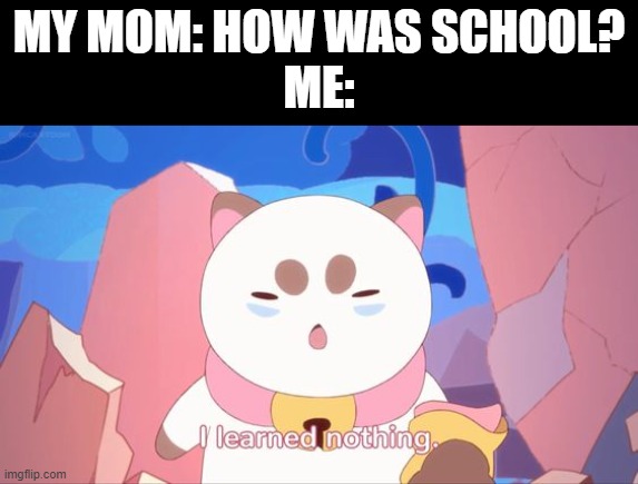 MY MOM: HOW WAS SCHOOL?
ME: | made w/ Imgflip meme maker