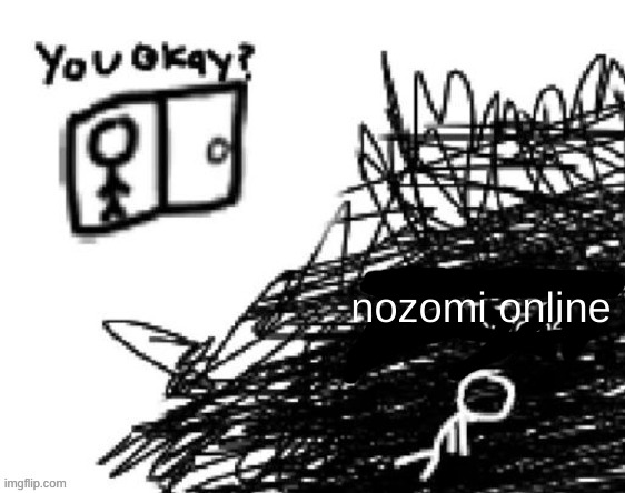 you okay | nozomi online | image tagged in you okay | made w/ Imgflip meme maker