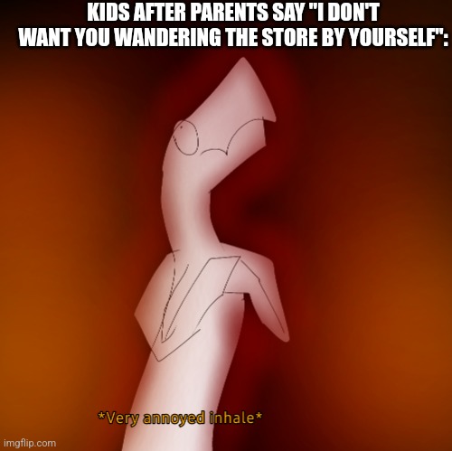parents, parents, parents... | KIDS AFTER PARENTS SAY "I DON'T WANT YOU WANDERING THE STORE BY YOURSELF": | image tagged in very annoyed inhale | made w/ Imgflip meme maker