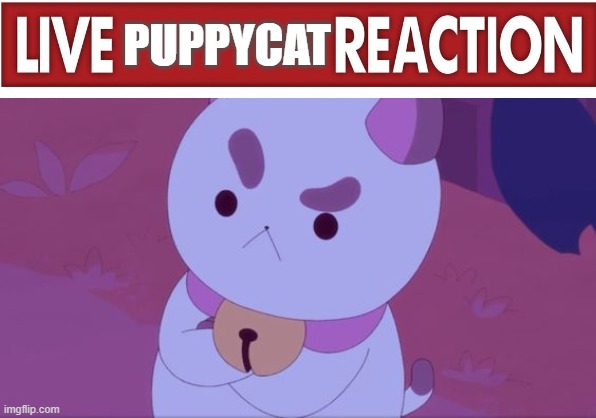 (did I do this right?) | PUPPYCAT | made w/ Imgflip meme maker