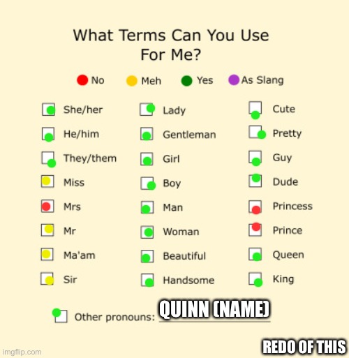 Wow... am I sure I’m not pan gender? | QUINN (NAME); REDO OF THIS | image tagged in pronouns sheet | made w/ Imgflip meme maker