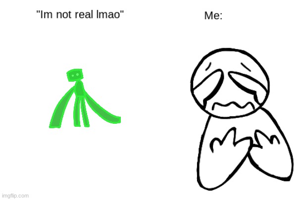 image tagged in im not real sadness | made w/ Imgflip meme maker